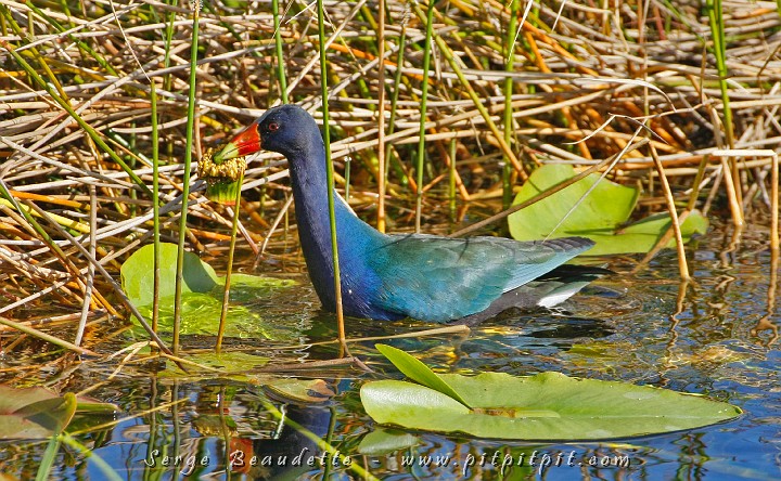 2009-01-10 10-13-08__MG_2114.JPG